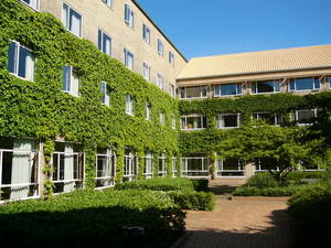 Math buildings in summer