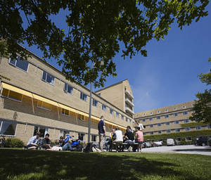 students in the park